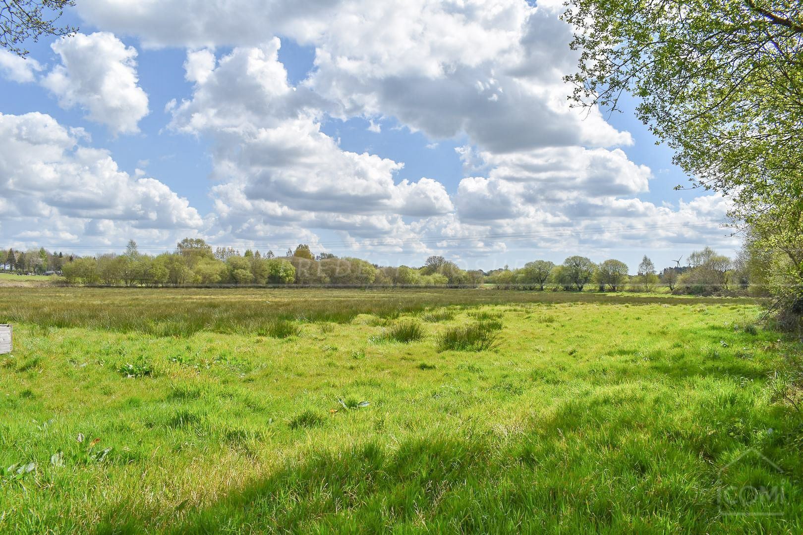 TERRAIN AGRICOLE - ACCES FACILE - IDEAL CHEVAUX - IDEAL MARAICHAGE - PLAT ET AU CALME - photo 5